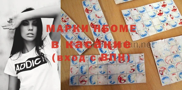 ГАЛЛЮЦИНОГЕННЫЕ ГРИБЫ Верея