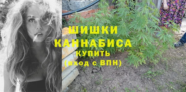 ГАЛЛЮЦИНОГЕННЫЕ ГРИБЫ Верея