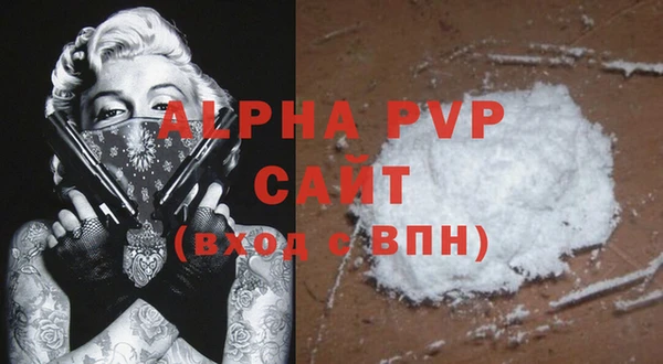 тгк Володарск