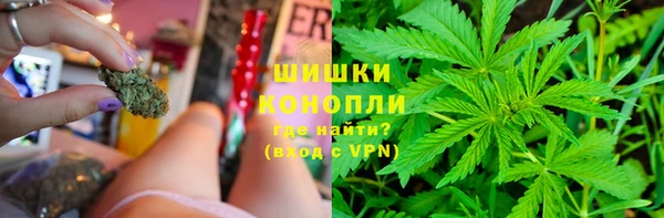 тгк Володарск