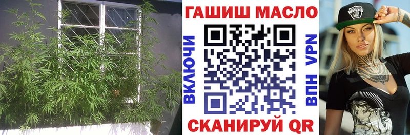 ТГК гашишное масло  Дигора 