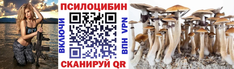 blacksprut ссылки  Дигора  Псилоцибиновые грибы GOLDEN TEACHER 